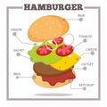 Hamburger Ingredients Infographic for poster, menu, web, banner.